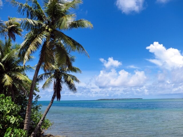 グアムのおすすめの釣具屋を紹介します！グアムで釣りをします！